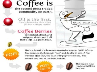 Coffee Facts | PPTX