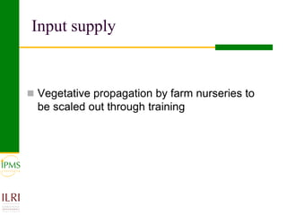 IPMS experience sharing workshop: Coffee group report