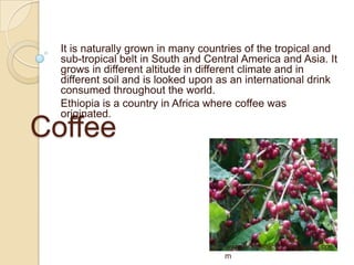 It is naturally grown in many countries of the tropical and
  sub-tropical belt in South and Central America and Asia. It
  grows in different altitude in different climate and in
  different soil and is looked upon as an international drink
  consumed throughout the world.
  Ethiopia is a country in Africa where coffee was
  originated.
Coffee


                                     www.hospitalitynu.blogspot.co
                                     m
 