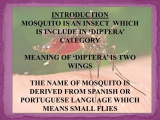 INTRODUCTION
MOSQUITO IS AN INSECT WHICH
IS INCLUDE IN ‘DIPTERA’
CATEGORY
MEANING OF ‘DIPTERA’ IS TWO
WINGS
THE NAME OF MOSQUITO IS
DERIVED FROM SPANISH OR
PORTUGUESE LANGUAGE WHICH
MEANS SMALL FLIES

 