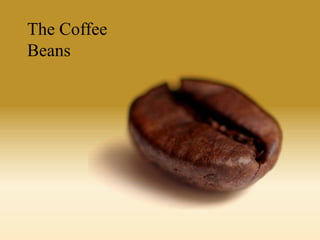 The Coffee
Beans

 