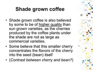 Shade grown coffee 
•Shade grown coffee is also believed by some to be of higher quality than sun grown varieties, as the cherries produced by the coffee plants under the shade are not as large as commercial varieties. 
•Some believe that this smaller cherry concentrates the flavors of the cherry into the seed (bean) itself 
•(Contrast between cherry and bean?)  
