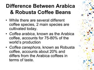 Difference Between Arabica & Robusta Coffee Beans 
•While there are several different coffee species, 2 main species are cultivated today. 
•Coffea arabica, known as the Arabica coffee, accounts for 75-80% of the world’s production 
•Coffea canephora, known as Robusta coffee, accounts about 20% and differs from the Arabica coffees in terms of taste.  
