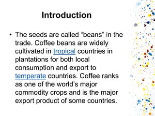 Introduction 
•The seeds are called “beans” in the trade. Coffee beans are widely cultivated in tropical countries in plantations for both local consumption and export to temperate countries. Coffee ranks as one of the world’s major commodity crops and is the major export product of some countries.  