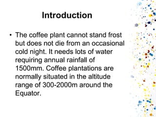 Introduction 
•The coffee plant cannot stand frost but does not die from an occasional cold night. It needs lots of water requiring annual rainfall of 1500mm. Coffee plantations are normally situated in the altitude range of 300-2000m around the Equator.  