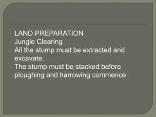 LAND PREPARATION 
Jungle Clearing 
All the stump must be extracted and 
excavate. 
The stump must be stacked before 
ploughing and harrowing commence 
 