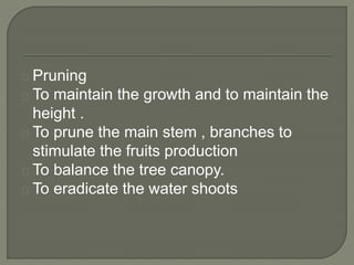 Pruning 
To maintain the growth and to maintain the 
height . 
To prune the main stem , branches to 
stimulate the fruits production 
To balance the tree canopy. 
To eradicate the water shoots 
 
