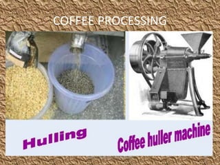COFFEE PROCESSING
22LOYOLA SCHOOL, JAMSHEDPUR
 