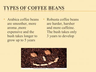  Arabica coffee beans
are smoother, more
aroma ,more
expensive and the
bush takes longer to
grow up to 5 years
 Robusta coffee beans
are harder, harsher
and more caffeine.
The bush takes only
3 years to develop
 