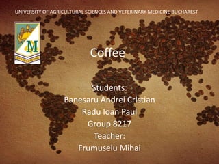 Coffee
Students:
Banesaru Andrei Cristian
Radu Ioan Paul
Group 8217
Teacher:
Frumuselu Mihai
UNIVERSITY OF AGRICULTURAL SCIENCES AND VETERINARY MEDICINE BUCHAREST
 