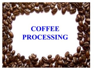 COFFEE
PROCESSING
 