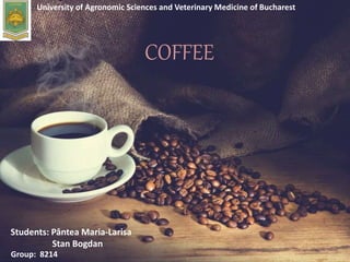 COFFEE
University of Agronomic Sciences and Veterinary Medicine of Bucharest
Students: Pântea Maria-Larisa
Stan Bogdan
Group: 8214
 