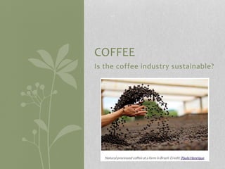 Is the coffee industry sustainable?
COFFEE
 