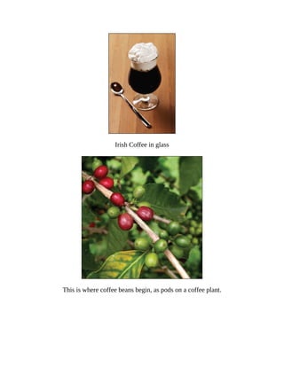 Irish	Coffee	in	glass
This	is	where	coffee	beans	begin,	as	pods	on	a	coffee	plant.
 