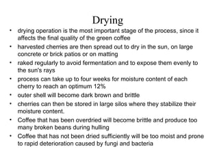 Drying
• drying operation is the most important stage of the process, since it
affects the final quality of the green coffee
• harvested cherries are then spread out to dry in the sun, on large
concrete or brick patios or on matting
• raked regularly to avoid fermentation and to expose them evenly to
the sun's rays
• process can take up to four weeks for moisture content of each
cherry to reach an optimum 12%
• outer shell will become dark brown and brittle
• cherries can then be stored in large silos where they stabilize their
moisture content.
• Coffee that has been overdried will become brittle and produce too
many broken beans during hulling
• Coffee that has not been dried sufficiently will be too moist and prone
to rapid deterioration caused by fungi and bacteria
 