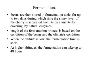 Fermentation.
• beans are then stored in fermentation tanks for up
to two days during which time the slimy layer of
the cherry is separated from its parchment-like
covering, by natural enzymes.
• length of the fermentation process is based on the
condition of the beans and the climate's condition.
• When the altitude is low, the fermentation time is
short.
• At higher altitudes, the fermentation can take up to
48 hours.
 