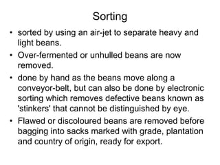 Sorting
• sorted by using an air-jet to separate heavy and
light beans.
• Over-fermented or unhulled beans are now
removed.
• done by hand as the beans move along a
conveyor-belt, but can also be done by electronic
sorting which removes defective beans known as
'stinkers' that cannot be distinguished by eye.
• Flawed or discoloured beans are removed before
bagging into sacks marked with grade, plantation
and country of origin, ready for export.
 