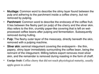 • Mucilage: Common word to describe the slimy layer found between the
pulp and adhering to the parchment inside a coffee cherry, but not
removed by pulping.
• Parchment: Common word to describe the endocarp of the coffee fruit.
It lies between the fleshy part (or pulp) of the cherry and the silver skin.
Also refers to the thin, crumbly paper-like covering that is left on wet-
processed coffee beans after pulping and fermentation. Subsequently
removed during hulling.
• Pulp: The fleshy outer layer of the mesocarp, directly beneath the skin,
removed with a pulping machine.
• Silver skin: seminal integument covering the endosperm - the thin,
papery, shiny layer immediately surrounding the coffee bean, being the
remnant of the integument. Milling before export removes most silver
skin, and the remainder is removed during roasting in the form of chaff.
• Unripe fruit: Coffee cherry that did not reach physiological maturity, usually
apple-green in colour
 