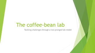 The coffee-bean lab
Tackling challenges through a two-pronged lab model
 