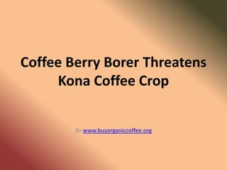 Coffee Berry Borer Threatens
     Kona Coffee Crop


        By www.buyorganiccoffee.org
 