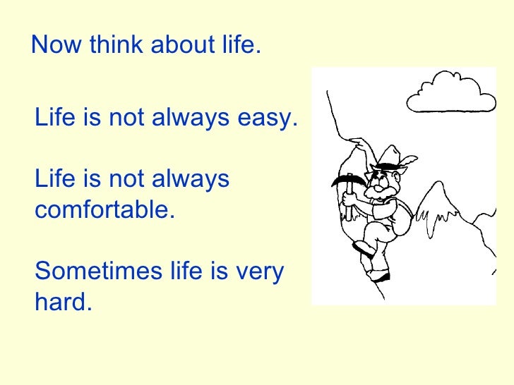 Coffee, Carrot and Egg Story