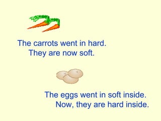 The carrots went in hard. They are now soft. The eggs went in soft inside. Now, they are hard inside. 