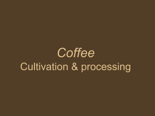 Coffee
Cultivation & processing
 
