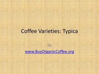Coffee Varieties: Typica
By
www.BuyOrganicCoffee.org
 