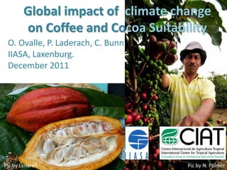 Global impact of climate change
        on Coffee and Cocoa Suitability
 O. Ovalle, P. Laderach, C. Bunn
 IIASA, Laxenburg.
 December 2011




Pic by Lenareh                     Pic by N. Palmer
 