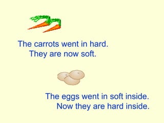 The carrots went in hard. They are now soft. The eggs went in soft inside. Now they are hard inside. 