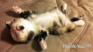 Discover Google Firebase Platform