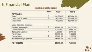 6. Financial Plan
Income Statement
 