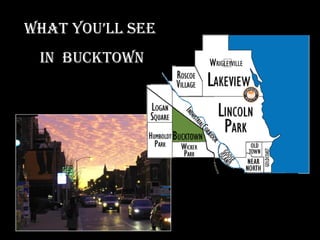 What you’ll see  in  Bucktown 