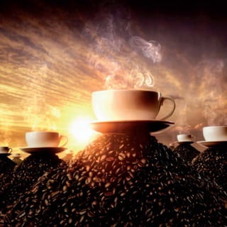 Soya
Ισοφλαβόνες σόγιας,(φυτοοιστρογόνα)
•εξυγιαίνουν το πεπτικό σύστημα
•ομαλοποιούν τη δράση ορμονών, όπως τα οιστρογόνα και η
τεστοστερόνη.
•Λαμβάνοντας ισοφλαβόνες σόγιας,ασθένειες όπως ο καρκίνος του
στήθους και προστάτη, η οστεοπόρωση και οι καρδιακές
παθήσεις είναι, πρακτικά, ανύπαρκτες ή εξαιρετικά
περιορισμένες.
 