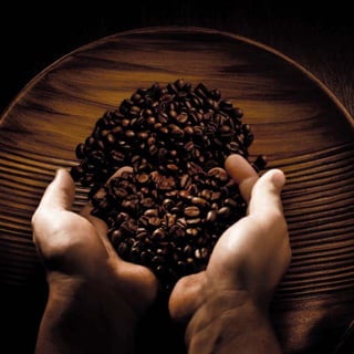 Hoodia
•Ανθίζει στην Κεντρική Ναμίμπια και τη νότια Αγκόλα
•Βοηθά στην απώλεια βάρους,προκαλώντας αίσθηση
κορεσμού,κόβωντας δηλαδή την όρεξη για φαγητό
•Διεγείρει το μεταβόλισμό
•Ο φλοιός του χρησιμοποιείται ήδη από εταιρείες που φτιάχνουν
φάρμακα καταπολέμησης του καρκίνου
•Βοηθά την καρδιά
•Ρυθμίζει το σάκχαρό σας και τα επίπεδα ινσουλίνης
 