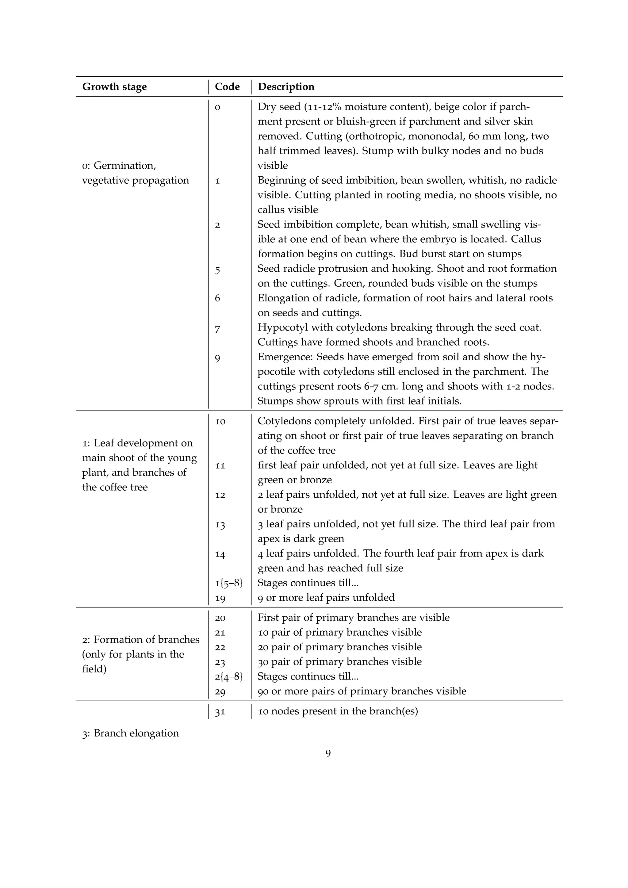 Growth stage Code Description
0: Germination,
vegetative propagation
0 Dry seed (11-12% moisture content), beige color if parch-
ment present or bluish-green if parchment and silver skin
removed. Cutting (orthotropic, mononodal, 60 mm long, two
half trimmed leaves). Stump with bulky nodes and no buds
visible
1 Beginning of seed imbibition, bean swollen, whitish, no radicle
visible. Cutting planted in rooting media, no shoots visible, no
callus visible
2 Seed imbibition complete, bean whitish, small swelling vis-
ible at one end of bean where the embryo is located. Callus
formation begins on cuttings. Bud burst start on stumps
5 Seed radicle protrusion and hooking. Shoot and root formation
on the cuttings. Green, rounded buds visible on the stumps
6 Elongation of radicle, formation of root hairs and lateral roots
on seeds and cuttings.
7 Hypocotyl with cotyledons breaking through the seed coat.
Cuttings have formed shoots and branched roots.
9 Emergence: Seeds have emerged from soil and show the hy-
pocotile with cotyledons still enclosed in the parchment. The
cuttings present roots 6-7 cm. long and shoots with 1-2 nodes.
Stumps show sprouts with ﬁrst leaf initials.
1: Leaf development on
main shoot of the young
plant, and branches of
the coffee tree
10 Cotyledons completely unfolded. First pair of true leaves separ-
ating on shoot or ﬁrst pair of true leaves separating on branch
of the coffee tree
11 ﬁrst leaf pair unfolded, not yet at full size. Leaves are light
green or bronze
12 2 leaf pairs unfolded, not yet at full size. Leaves are light green
or bronze
13 3 leaf pairs unfolded, not yet full size. The third leaf pair from
apex is dark green
14 4 leaf pairs unfolded. The fourth leaf pair from apex is dark
green and has reached full size
1{5–8} Stages continues till...
19 9 or more leaf pairs unfolded
2: Formation of branches
(only for plants in the
ﬁeld)
20 First pair of primary branches are visible
21 10 pair of primary branches visible
22 20 pair of primary branches visible
23 30 pair of primary branches visible
2{4–8} Stages continues till...
29 90 or more pairs of primary branches visible
3: Branch elongation
31 10 nodes present in the branch(es)
9
 