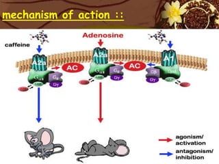mechanism of action ::


                         <
 