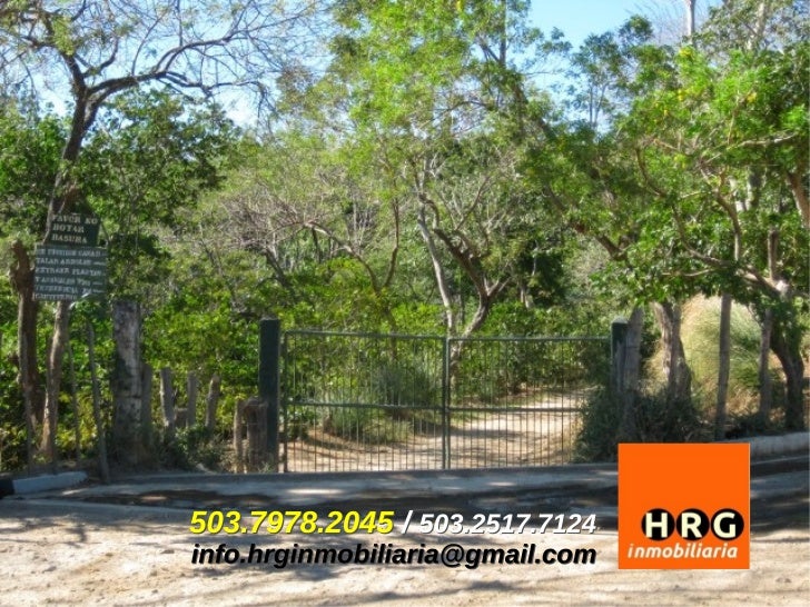 COFFEE FARM FOR SALE / FINCA DE CAFE EN VENTA SANTA ANA EL SALVAD…