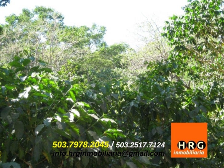 COFFEE FARM FOR SALE / FINCA DE CAFE EN VENTA SANTA ANA EL SALVAD…