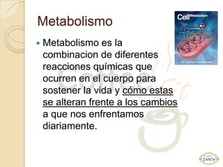 Metabolismo
   Metabolismo es la
    combinacion de diferentes
    reacciones químicas que
    ocurren en el cuerpo para
    sostener la vida y cómo estas
    se alteran frente a los cambios
    a que nos enfrentamos
    diariamente.
 