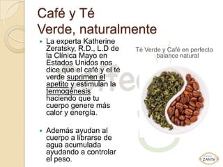 Café y Té
Verde, naturalmente
   La experta Katherine
    Zeratsky, R.D., L.D de     Té Verde y Café en perfecto
    la Clínica Mayo en                balance natural
    Estados Unidos nos
    dice que el café y el té
    verde suprimen el
    apetito y estimulan la
    termogénesis
    haciendo que tu
    cuerpo genere más
    calor y energía.

   Además ayudan al
    cuerpo a librarse de
    agua acumulada
    ayudando a controlar
    el peso.
 