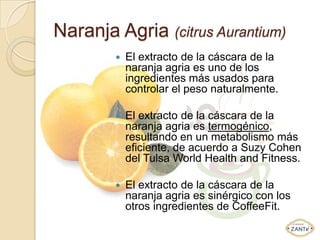 Naranja Agria (citrus Aurantium)
           El extracto de la cáscara de la
            naranja agria es uno de los
            ingredientes más usados para
            controlar el peso naturalmente.

           El extracto de la cáscara de la
            naranja agria es termogénico,
            resultando en un metabolismo más
            eficiente, de acuerdo a Suzy Cohen
            del Tulsa World Health and Fitness.

           El extracto de la cáscara de la
            naranja agria es sinérgico con los
            otros ingredientes de CoffeeFit.
 