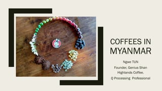 COFFEES IN
MYANMAR
Ngwe TUN
Founder, Genius Shan
Highlands Coffee.
Q Processing Professional
 