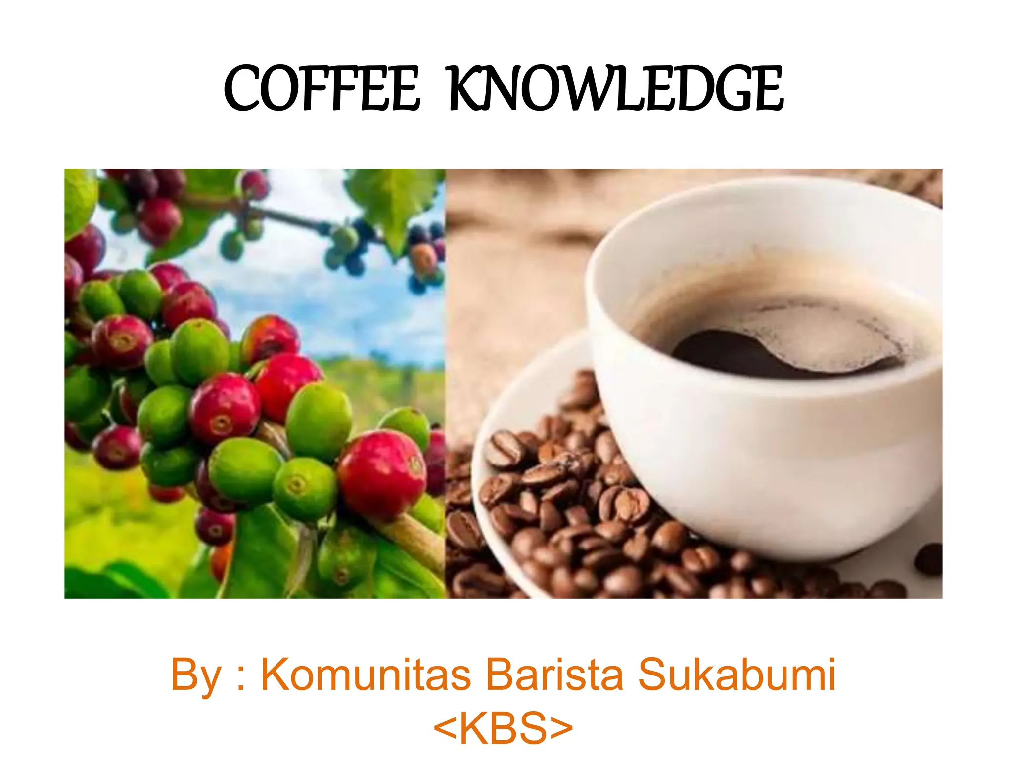 COFFEE KNOWLEDGE komunitas Barista Sukabumi.pptx, image size:2048x1536