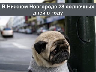 В нижнем новгороде 28 солнечных днейВ Нижнем Новгороде 28 солнечных
дней в году
 
