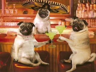 Презентация бизнес-план.