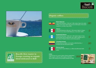 Coffee menu 2013: the best coffees in the World