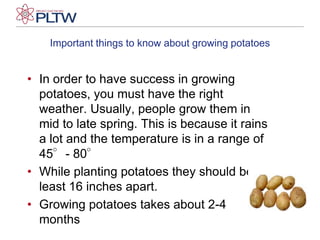 Important things to know about growing potatoesIn order to have success in growing potatoes, you must have the right weather. Usually, people grow them in mid to late spring. This is because it rains a lot and the temperature is in a range of 45°- 80°While planting potatoes they should be at least 16 inches apart.Growing potatoes takes about 2-4 months