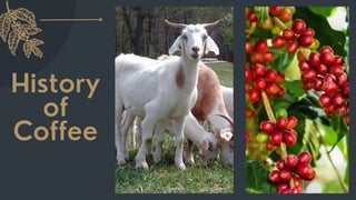 History
of
Coffee
 