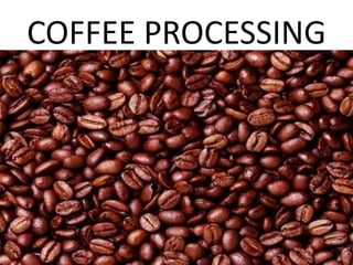 COFFEE PROCESSING
 